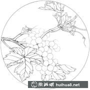 葡萄工筆繪畫技巧解析
