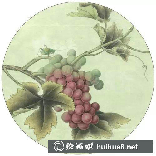 葡萄工筆畫畫法教程 葡萄工筆畫畫法教程