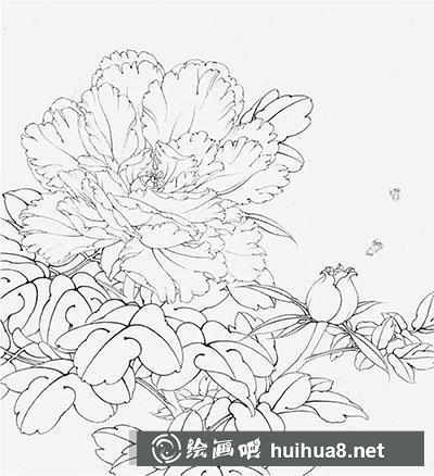 工筆畫教程怎么畫賽珠盤牡丹