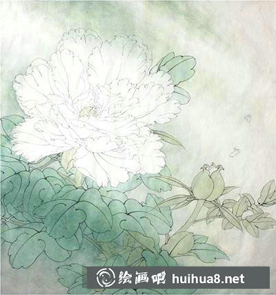工筆畫教程怎么畫賽珠盤牡丹