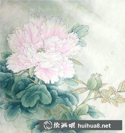工筆畫教程怎么畫賽珠盤牡丹