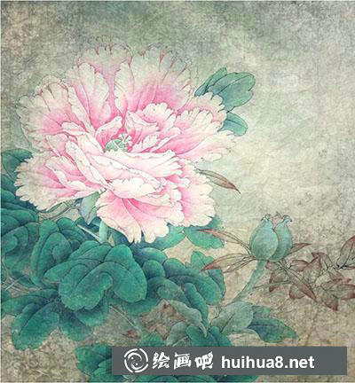 工筆畫教程怎么畫賽珠盤牡丹