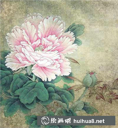 工筆畫教程怎么畫賽珠盤牡丹