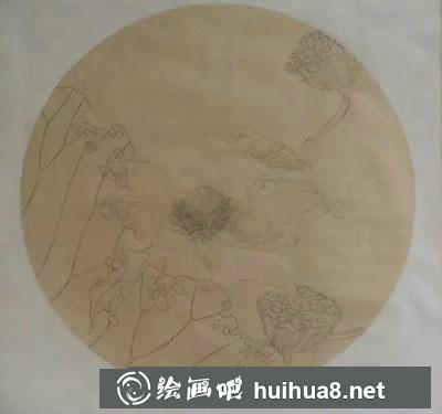 工筆畫教程怎么畫秋荷鹡鸰圖