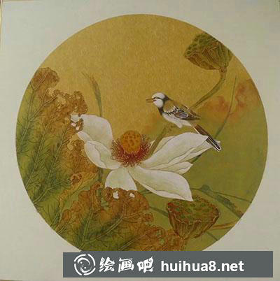 工筆畫教程怎么畫秋荷鹡鸰圖
