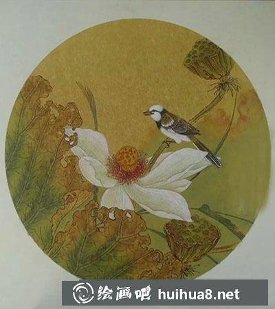工筆畫教程怎么畫秋荷鹡鸰圖