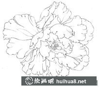 工筆畫牡丹花頭繪制步驟解析
