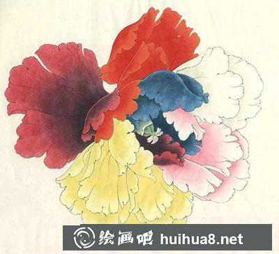 工筆畫教程怎么畫六色牡丹花頭