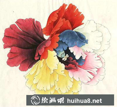工筆畫教程怎么畫六色牡丹花頭