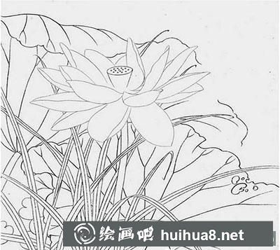 工筆畫教程怎么畫荷花《玉蓮麗影》