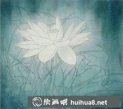 工筆畫教程怎么畫荷花《玉蓮麗影》