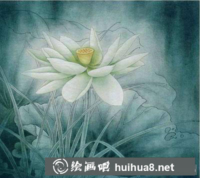 工筆畫教程怎么畫荷花《玉蓮麗影》