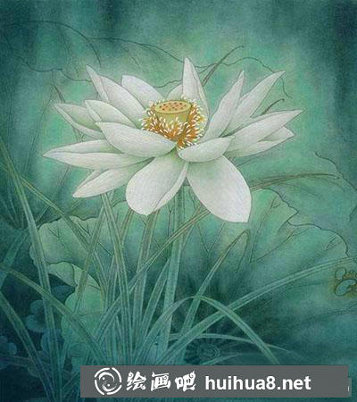 工筆畫教程怎么畫荷花《玉蓮麗影》