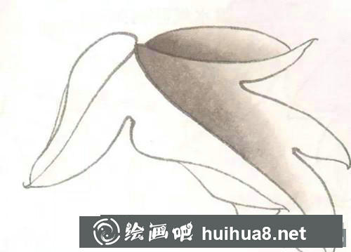 工筆畫教程