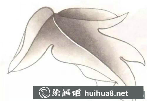 工筆畫教程