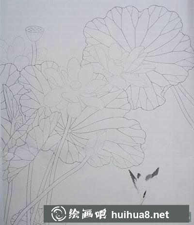 怎么畫工筆畫荷花與翠鳥 怎么畫工筆畫荷花與翠鳥