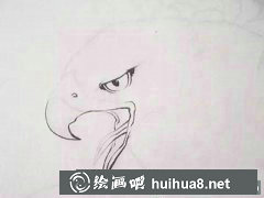 工筆畫老鷹技法詳解