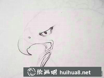 工筆畫老鷹教程