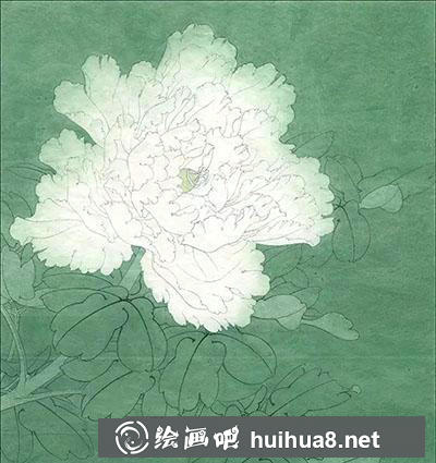 工筆畫教程：怎么畫白牡丹