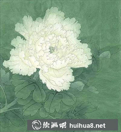 工筆畫教程：怎么畫白牡丹