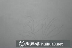 菊花繪畫(huà)教程