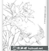 工筆畫教程鯉魚荷花繪制方法