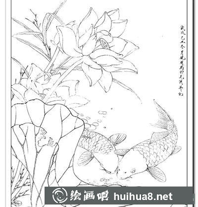 工筆畫教程:怎么畫《鯉魚荷花》 工筆畫教程:怎么畫《鯉魚荷花》