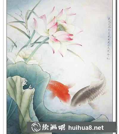 工筆畫教程:怎么畫《鯉魚荷花》 工筆畫教程:怎么畫《鯉魚荷花》