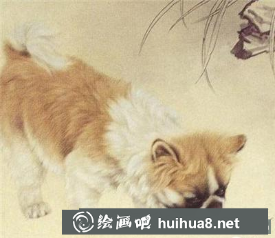 可愛(ài)小狗戲蝸牛