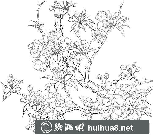 工筆畫教程：怎么繪制海棠花