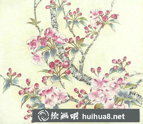 工筆畫教程：怎么繪制海棠花