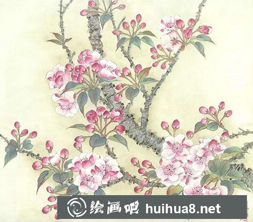 工筆畫教程：怎么繪制海棠花