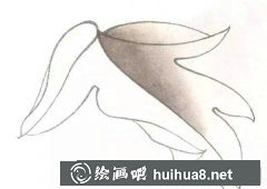 工筆牡丹葉染技統(tǒng)染新法