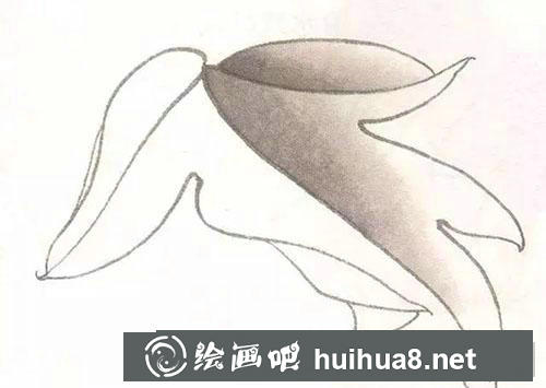 工筆牡丹葉子分染與統(tǒng)染方法 工筆牡丹葉子分染與統(tǒng)染方法