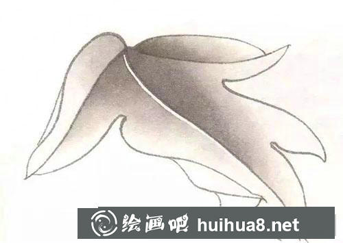 工筆牡丹葉子分染與統(tǒng)染方法3.jpg 工筆牡丹葉子分染與統(tǒng)染方法3.jpg
