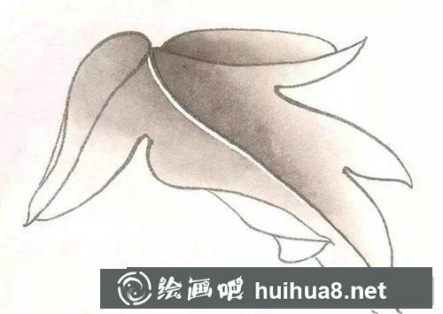工筆牡丹葉子分染與統(tǒng)染方法 工筆牡丹葉子分染與統(tǒng)染方法