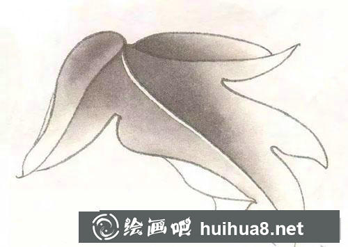 工筆牡丹葉子分染與統(tǒng)染方法 工筆牡丹葉子分染與統(tǒng)染方法