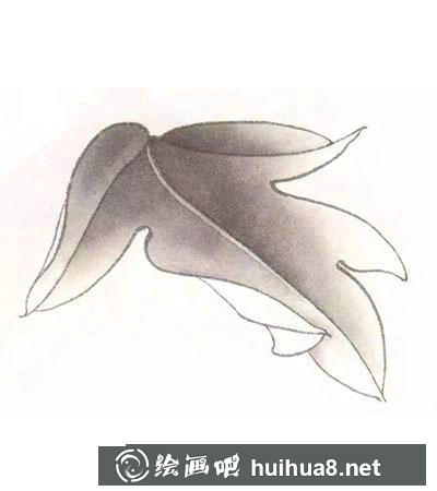 工筆牡丹葉子分染與統(tǒng)染方法 工筆牡丹葉子分染與統(tǒng)染方法