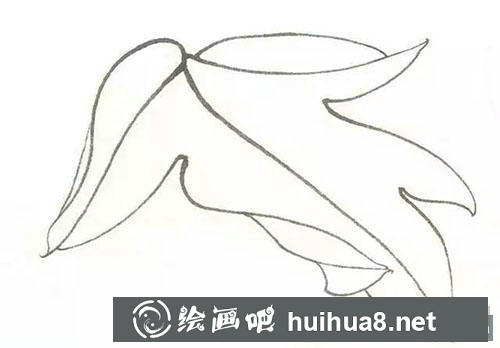 工筆牡丹正面葉子染色步驟