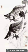 鱖魚(yú)畫(huà)法步驟詳解