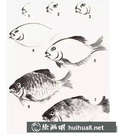 鳊魚畫法步驟教程
