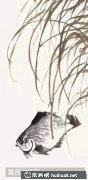 鳊魚畫法教程步驟詳解
