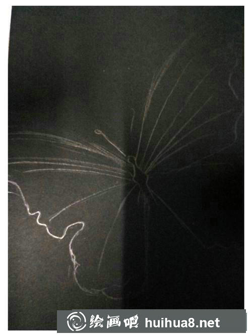 蝴蝶水粉畫