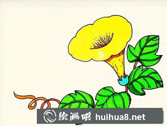 喇叭花怎么畫
