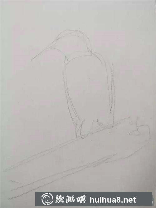 蜂鳥速寫