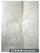 玉蘭花插畫教程輕松學