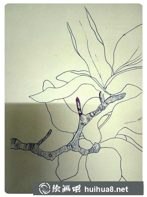玉蘭花插畫