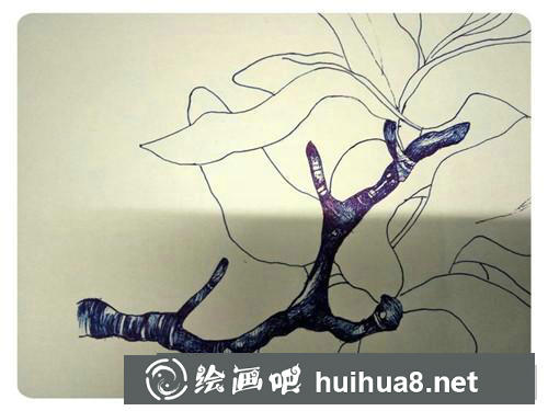 玉蘭花插畫