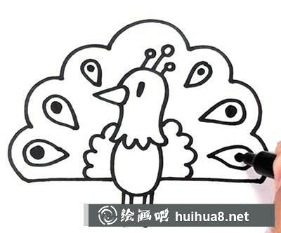 兒童畫教程：教你畫孔雀