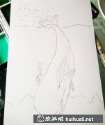 鯨魚插畫教程分享